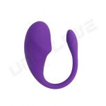 Mobile Controlled App Bluetooth Wireless App Remote Control Vibration Mini Vibrator Wear Vibrating Panties Toy