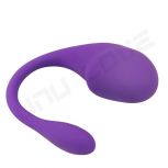 Mobile Controlled App Bluetooth Wireless App Remote Control Vibration Mini Vibrator Wear Vibrating Panties Toy