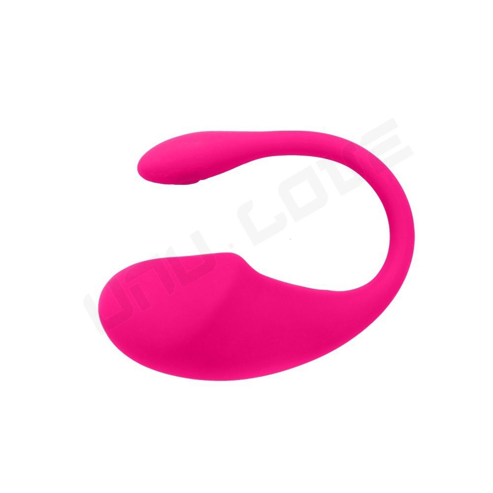 Mobile Controlled App Bluetooth Wireless App Remote Control Vibration Mini Vibrator Wear Vibrating Panties Toy